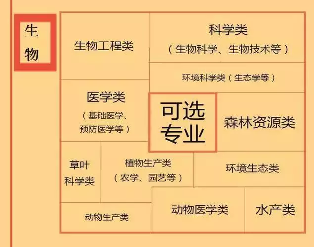 根據(jù)特長選專業(yè)，高中各門課程對應大學專業(yè)實用盤點，志愿填報的你不可錯過！