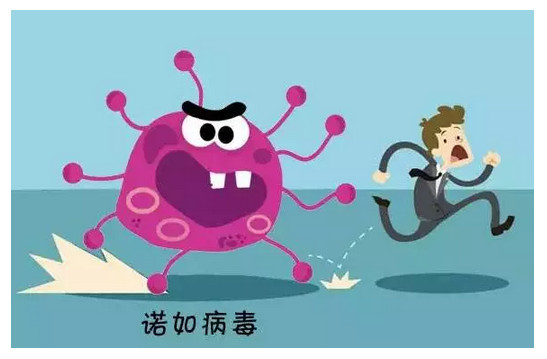 全國多地出現(xiàn)學(xué)校停課！這種病毒進入高發(fā)期，尚無疫苗和特效藥……家長千萬注意