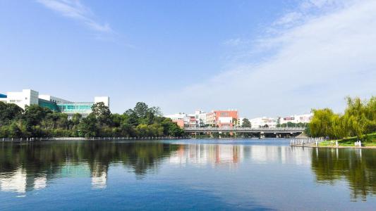 南昌大學(xué)2019各省投檔分數(shù)線