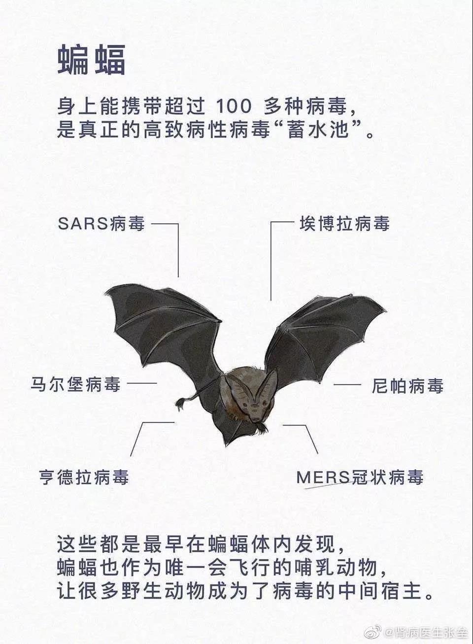 這10道與疫情有關(guān)的作業(yè)題，你的孩子會如何作答？