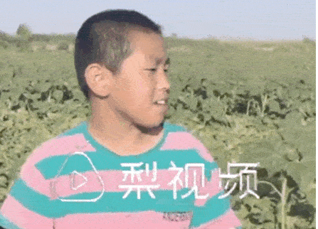 這位11歲男孩的暑假生活，被網友狂贊