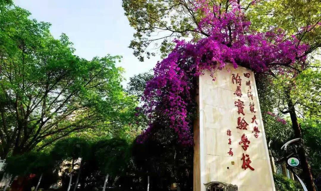 又一所官宣升級！成都一貫制學(xué)校有哪些了？